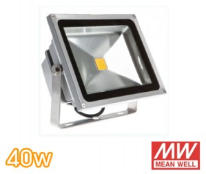 Floodlight INDUS 40w. With Meanwell Driver
